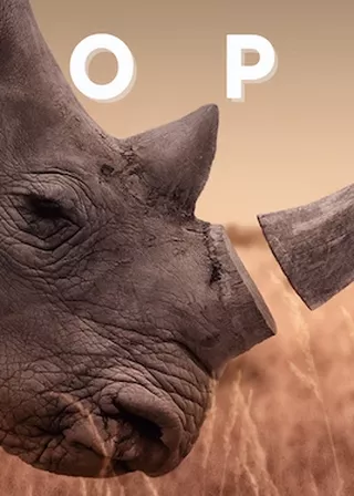 《戰利品》電影海報