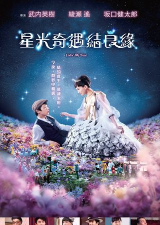 《星光奇遇結良緣》電影海報