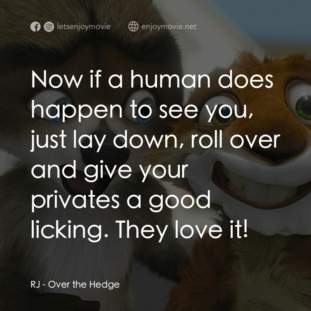 4條腿拯救隊電影對白：RJ:  Now if a human does happen to see you, just lay down, roll over and give you