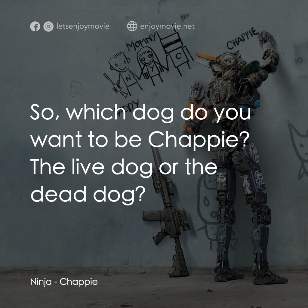 成人世界電影對白：Ninja: So, which dog do you want to be Chappie? The live dog or the dead dog?