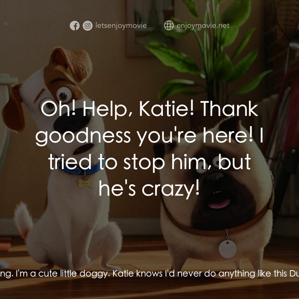寵物當家電影對白：Max:  Oh, Duke. Duke, Katie is not... Katie's gonna be so upset when she sees tha