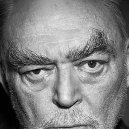 Mircea Albulescu 飾演 Vlad