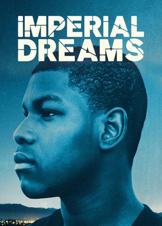 《夢醒美國》電影海報