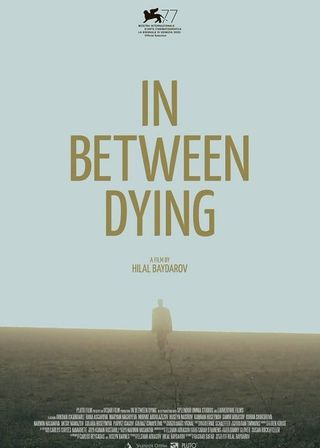 霧中不知身是客 海報