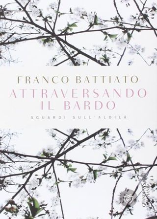 《Crossing the Bardo》電影海報