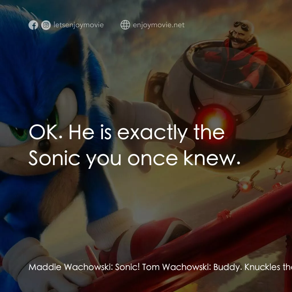超音鼠大電影2電影對白：Maddie Wachowski:  Sonic! Tom Wachowski:  Buddy. Knuckles the Echidna:  Wait, you