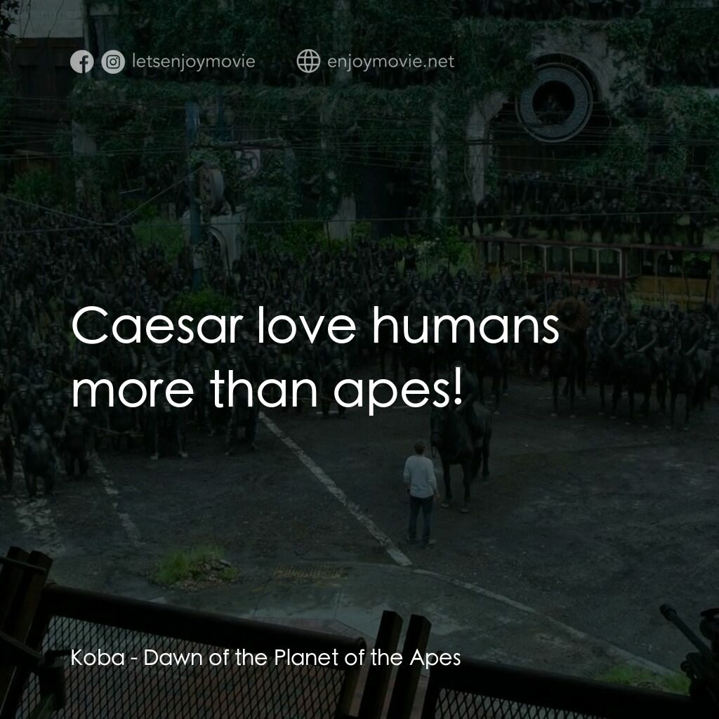 猩球崛起：黎明的進擊電影對白：Koba:  Caesar love humans more than apes!