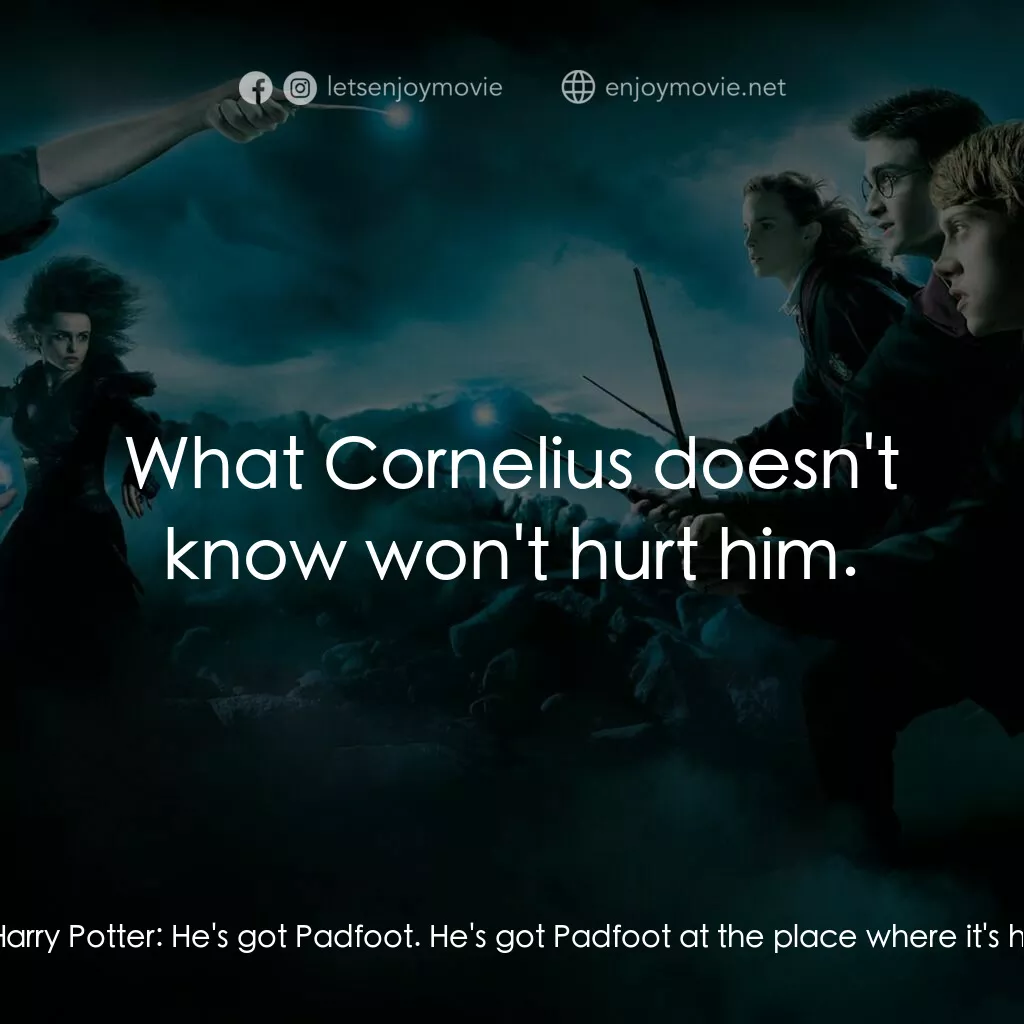 哈利波特：鳳凰會的密令電影對白：Severus Snape:  You sent for me, Headmistress? Dolores Umbridge:  Snape, yes. The