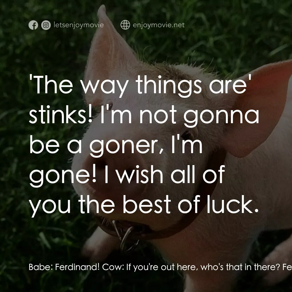 寶貝小豬嘜電影對白：Babe:  Ferdinand! Cow:  If you're out here, who's that in there? Ferdinand:  Her 