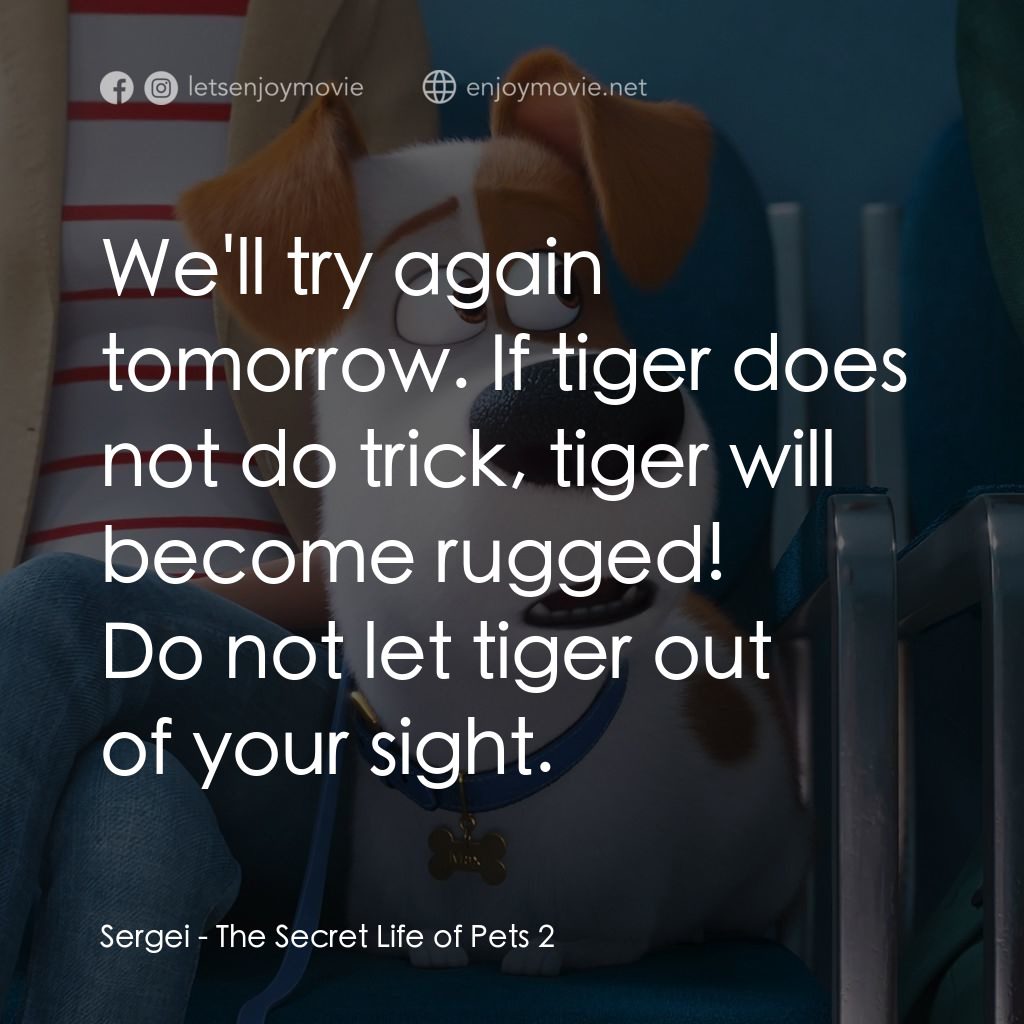 Pet Pet當家 2電影對白：Sergei: We'll try again tomorrow. If tiger does not do trick, tiger will become r