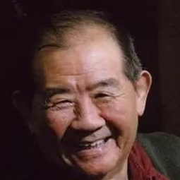 林連昆 飾演 Pang An