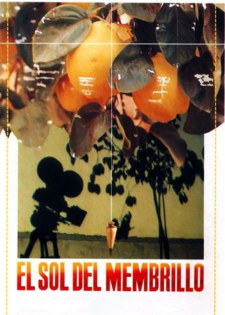 《光之夢》電影海報