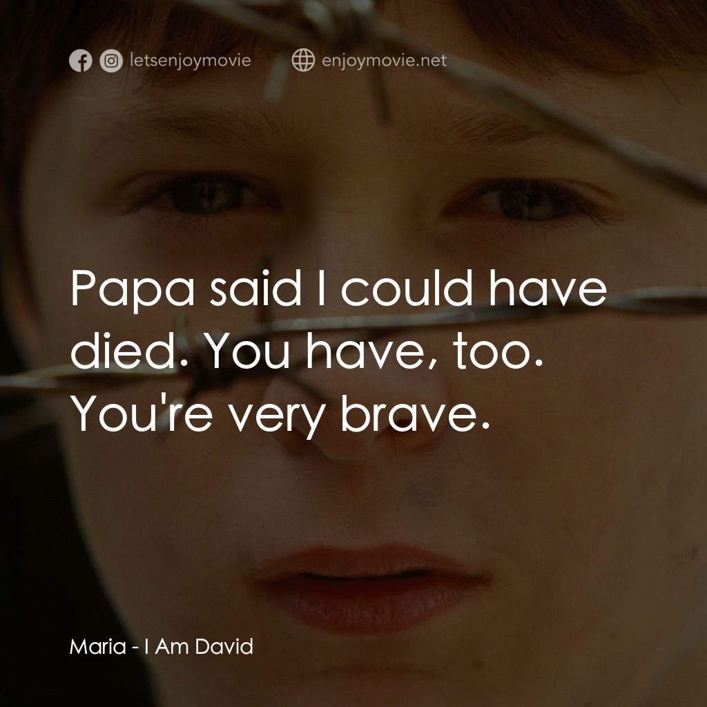 《送信到哥本哈根》經典台詞：Maria: Papa said I could have died. You have, too. ...