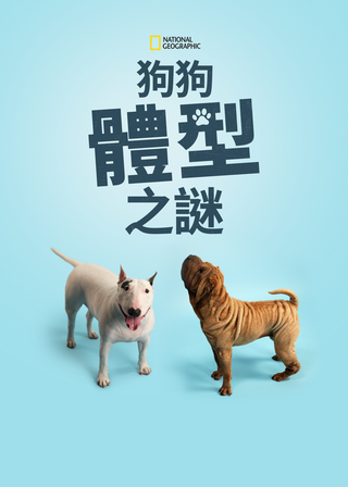 《狗狗體型之謎》電影海報