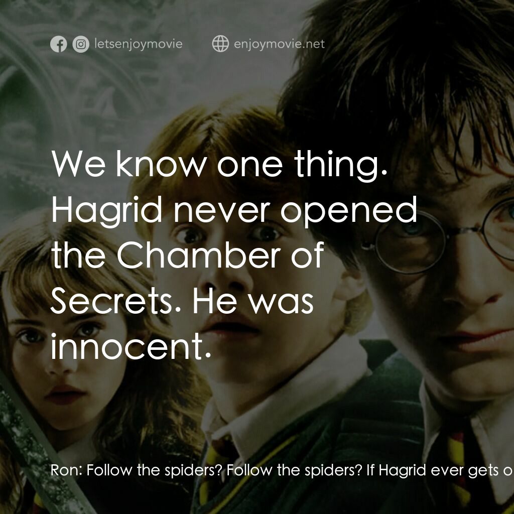 哈利波特：消失的密室電影對白：Ron:  Follow the spiders? Follow the spiders? If Hagrid ever gets out of Azkaban,