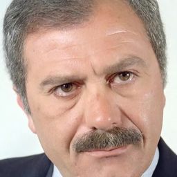 Vanni Materassi - 每個人都入獄演員 飾演avvocato Baldelli