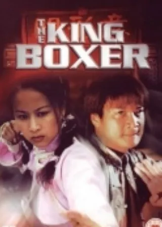 《天下無敵掌門人》電影海報