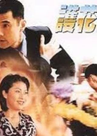 《護花驚情》電影海報