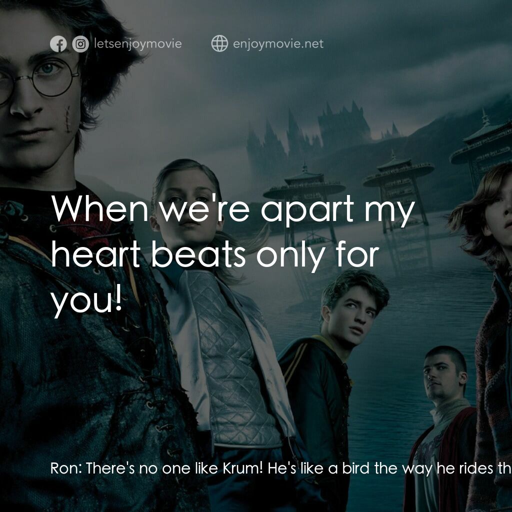 哈利波特：火盃的考驗電影對白：Ron:  There's no one like Krum! He's like a bird the way he rides the wind! He's 