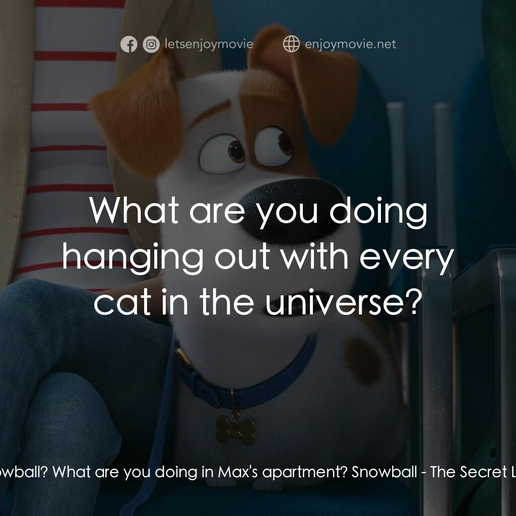 Pet Pet當家 2電影對白：Gidget:  Snowball? What are you doing in Max's apartment? Snowball:  What are you