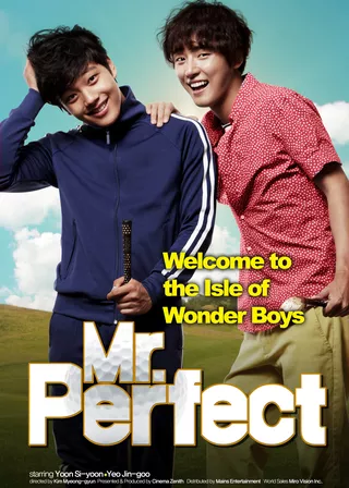 《Mr. Perfect》電影海報