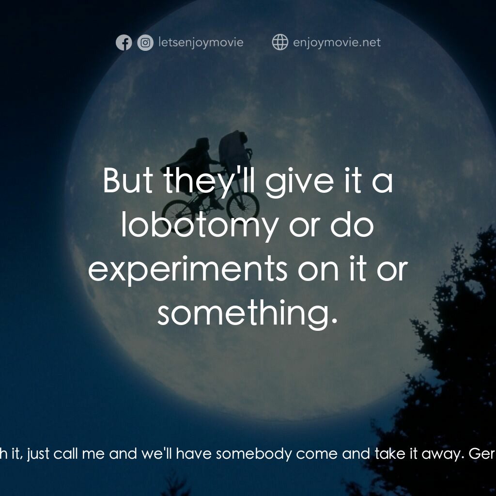 E.T.外星人電影對白：Mary:  If you ever see it again, whatever it is, don't touch it, just call me and