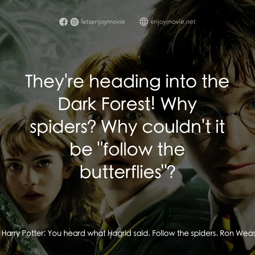 哈利波特：消失的密室電影對白：Harry Potter:  Come on. Ron Weasley:  *What*? Harry Potter:  You heard what Hagri