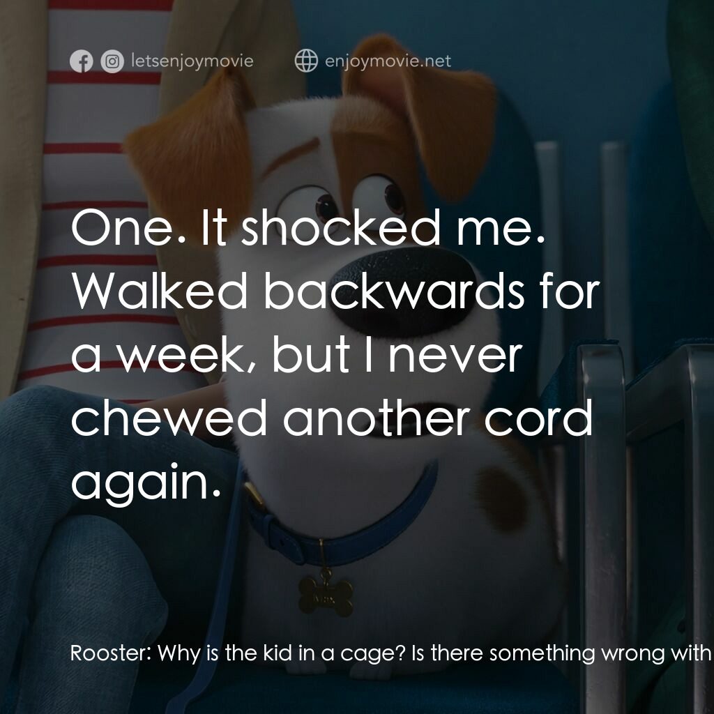 Pet Pet當家 2電影對白：Rooster:  Why is the kid in a cage? Is there something wrong with him? Does he ha