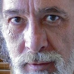 José Pedro Carrión 飾演 (voice)