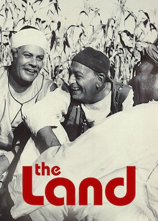 《波蘭式瘋格》電影海報