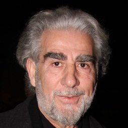 Haris Emmanouil 飾演 Museum Director