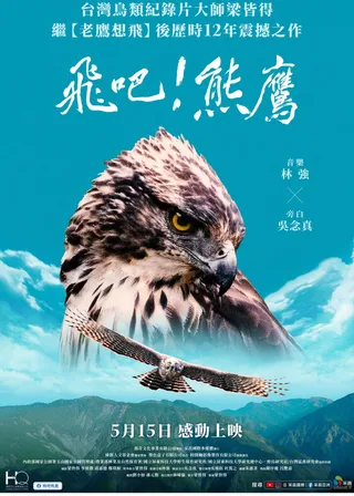 飛吧！熊鷹海報