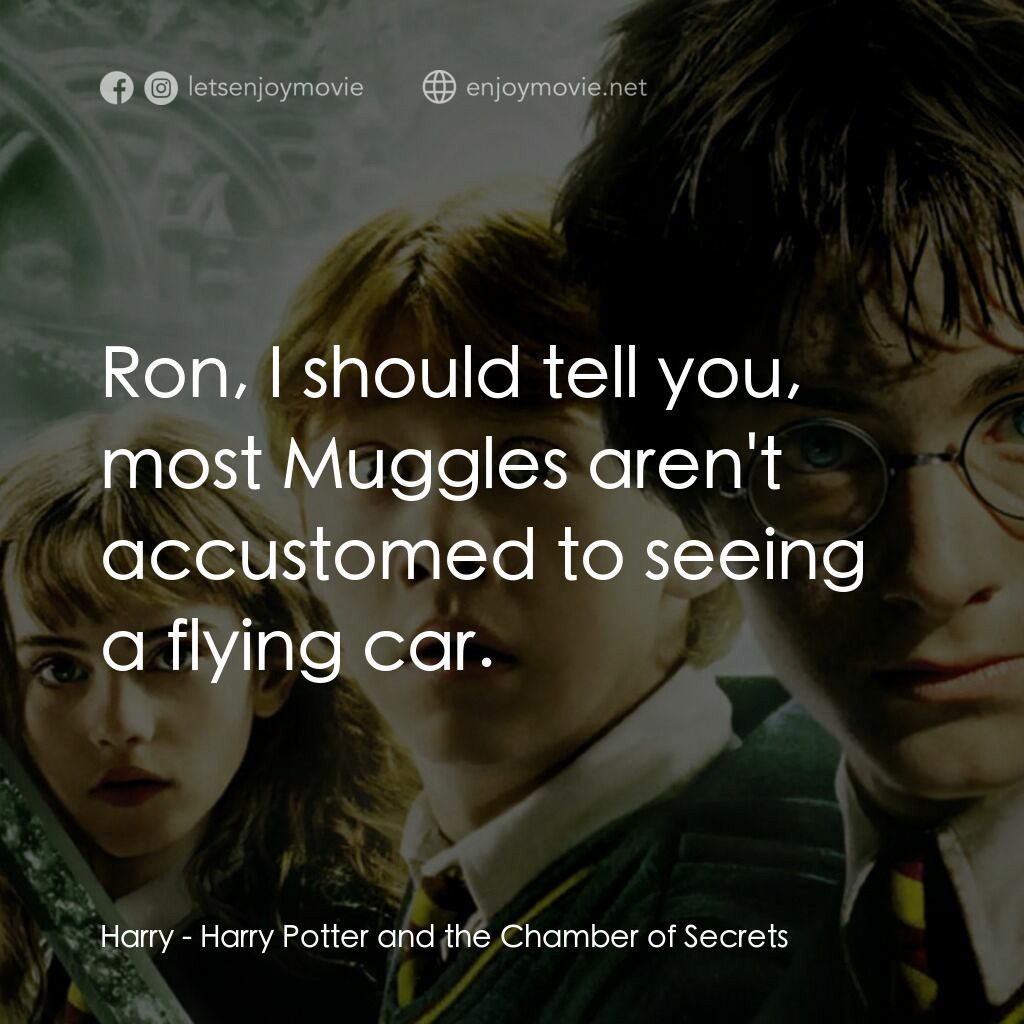 哈利波特：消失的密室電影對白：Harry:  Ron, I should tell you, most Muggles aren't accustomed to seeing a flying