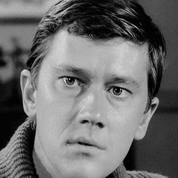 Andrew Prine - 神秘復仇者演員 飾演Perry Jones