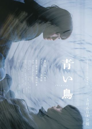 《青い鳥》電影海報