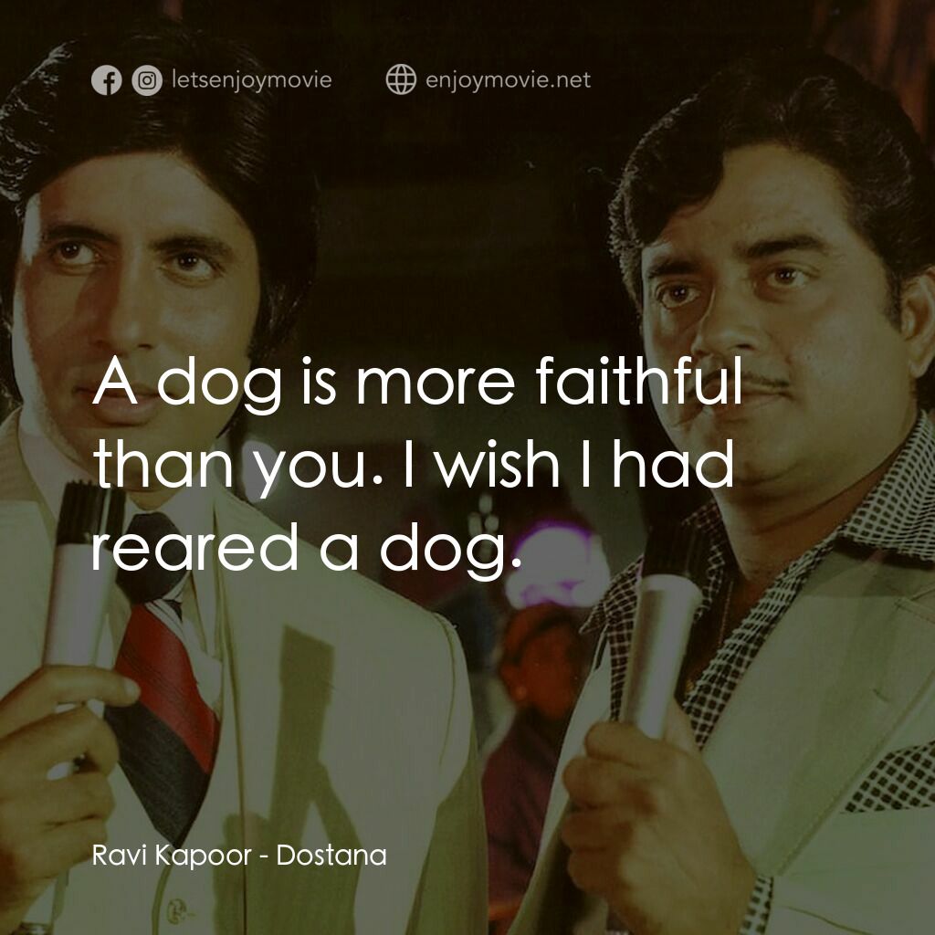 友敵難分電影對白：Ravi Kapoor:  A dog is more faithful than you. I wish I had reared a dog.