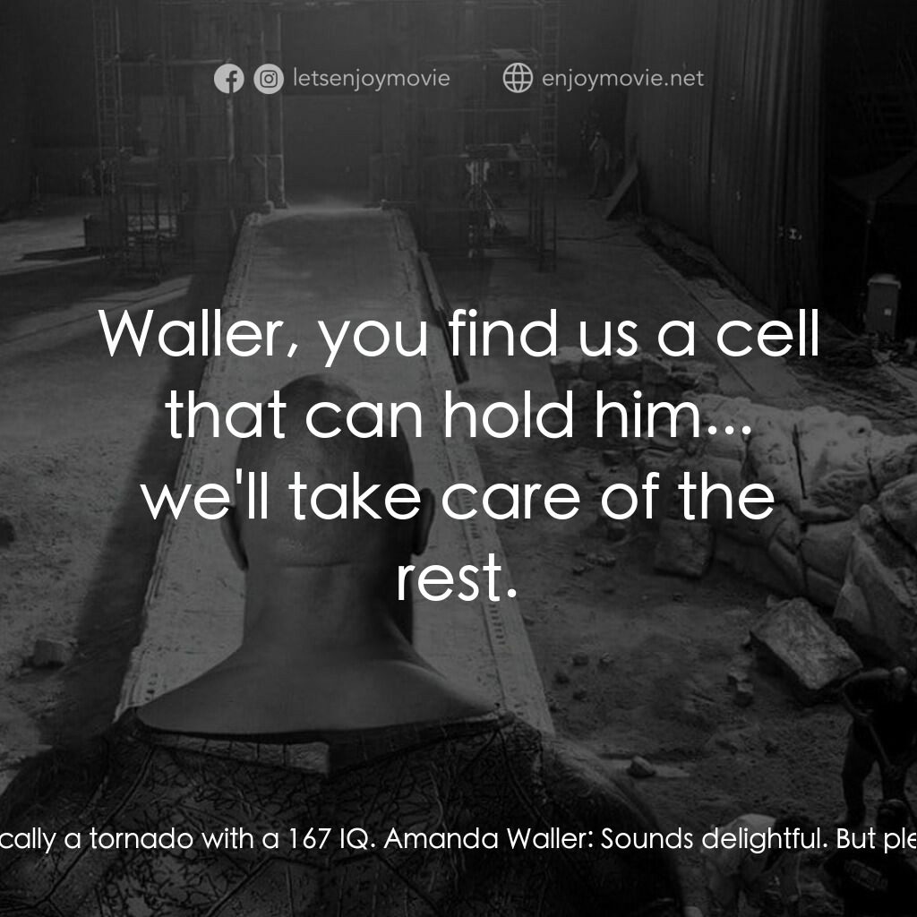 黑亞當電影對白：Amanda Waller:  What do you think? Carter Hall:  I think this loose cannon needs 