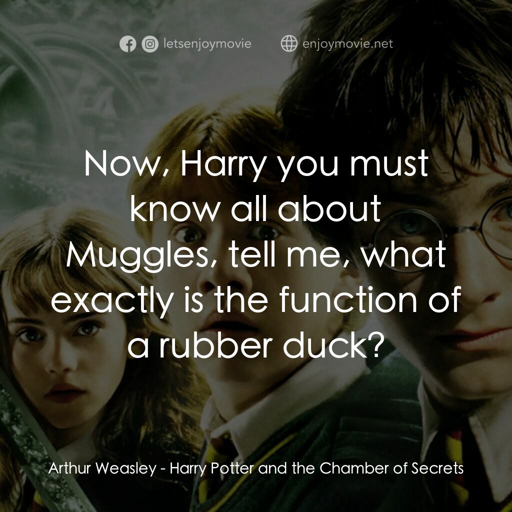 哈利波特：消失的密室電影對白：Arthur Weasley:  Now, Harry you must know all about Muggles, tell me, what exactl