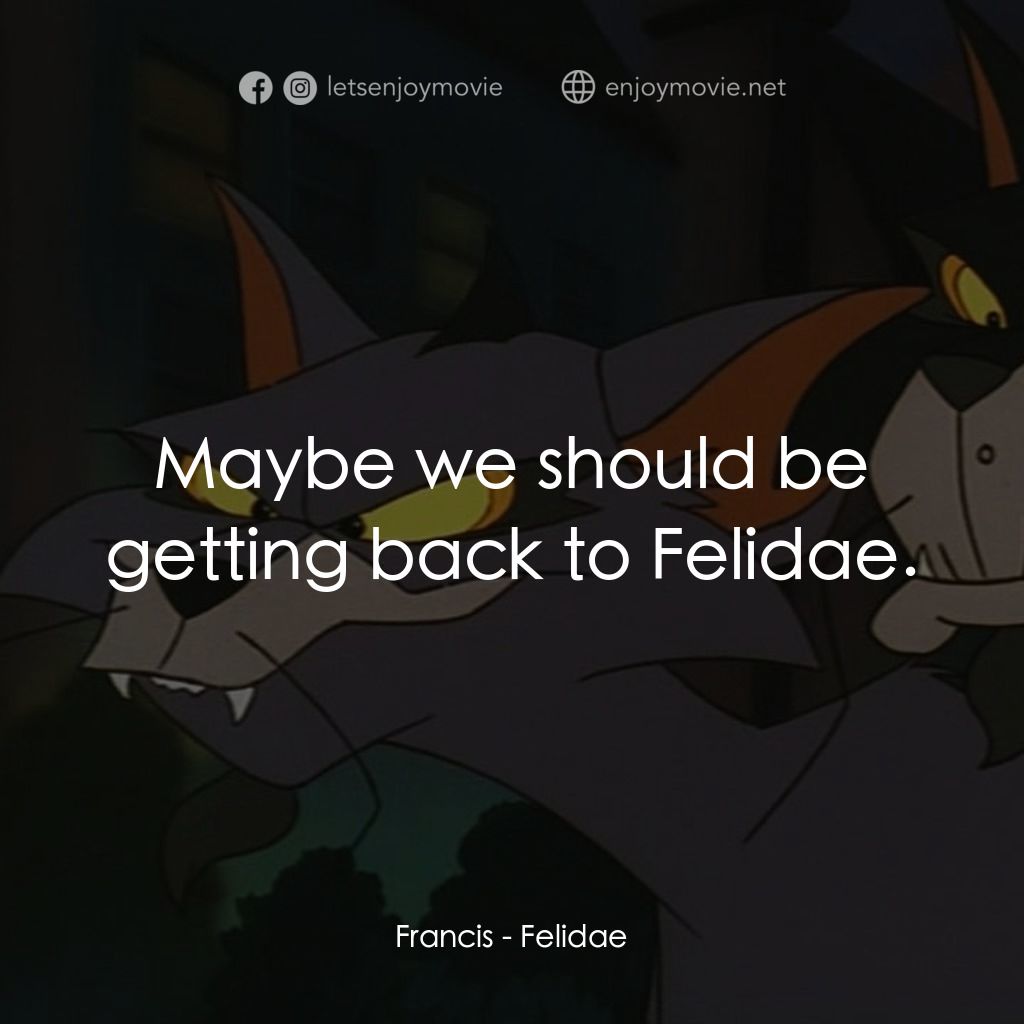 怪貓費力德電影對白：Francis: Maybe we should be getting back to Felidae.