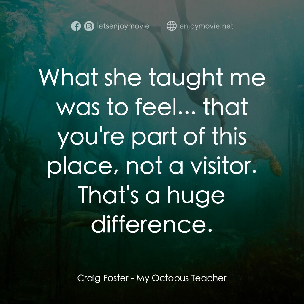 我的章魚老師電影對白：Craig Foster:  What she taught me was to feel... that you're part of this place, 