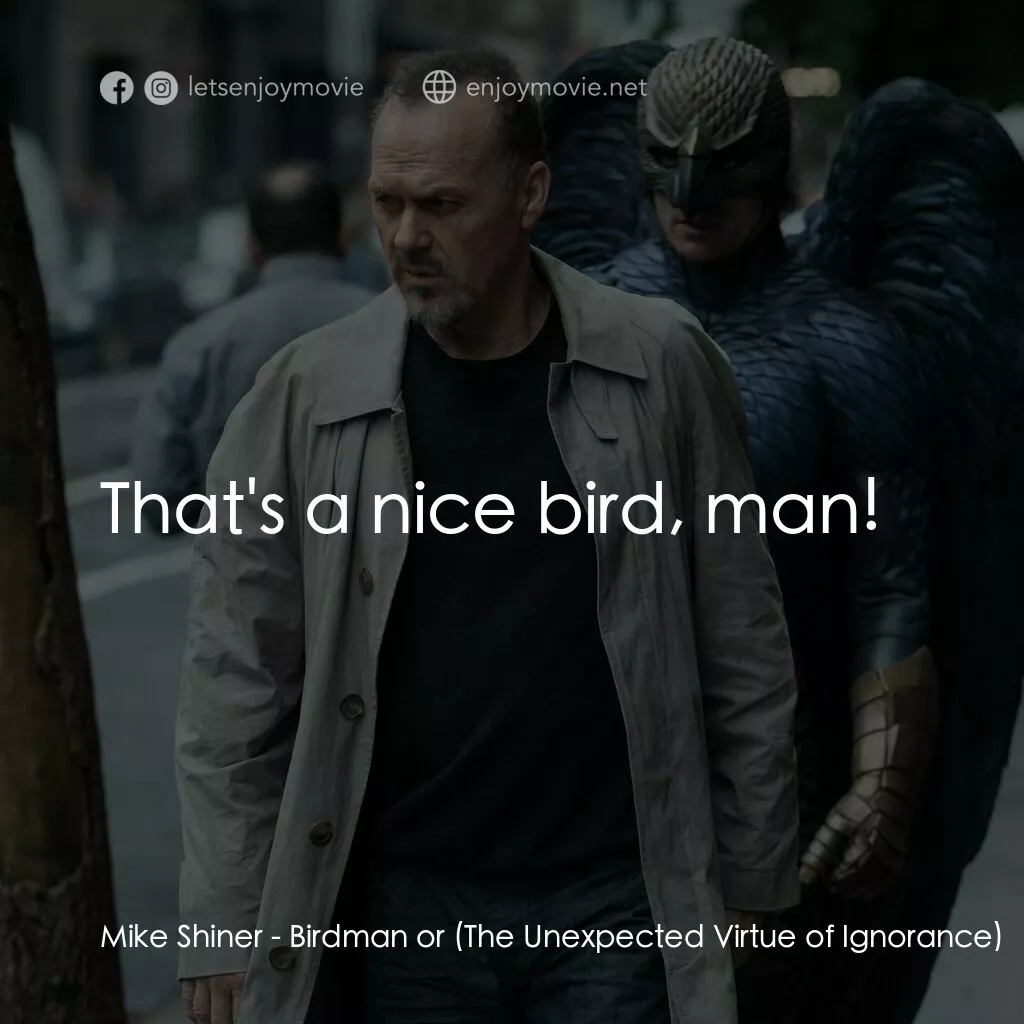 《飛鳥俠》經典台詞：Mike Shiner:  That's a nice bird, man!