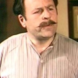 Michael Segal 飾演 Train Guard