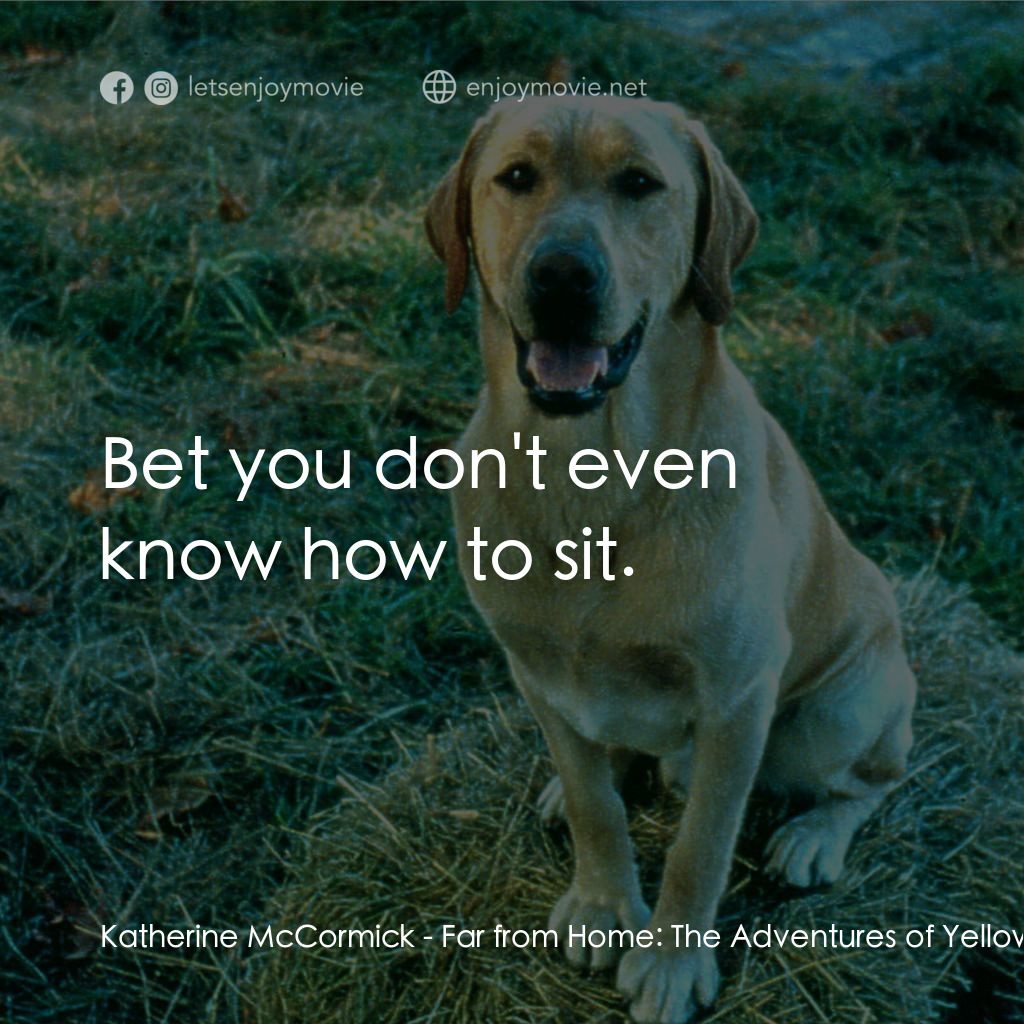 《遙遙歸鄉路》經典台詞：Katherine McCormick: Bet you don't even know h ...