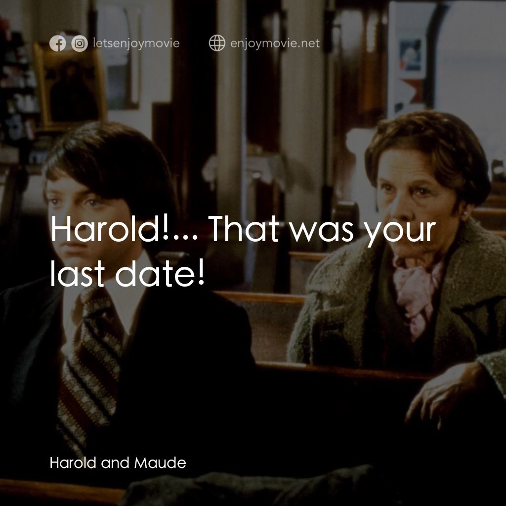 哈洛與茂德電影對白：Harold!... That was your last date!