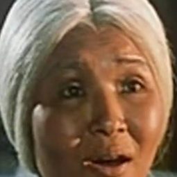 尤美芳 飾演 Peach Boy's foster mother