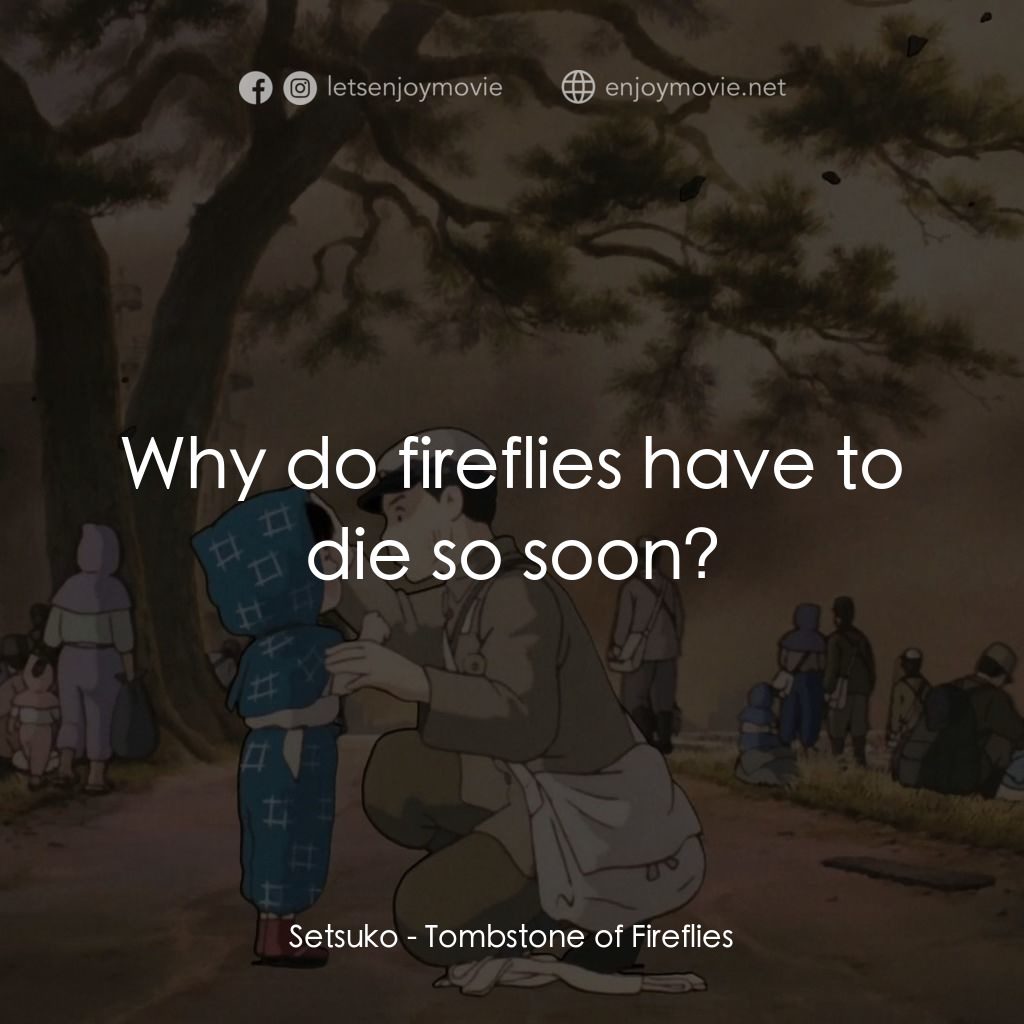 再見螢火蟲電影對白：Setsuko: Why do fireflies have to die so soon?