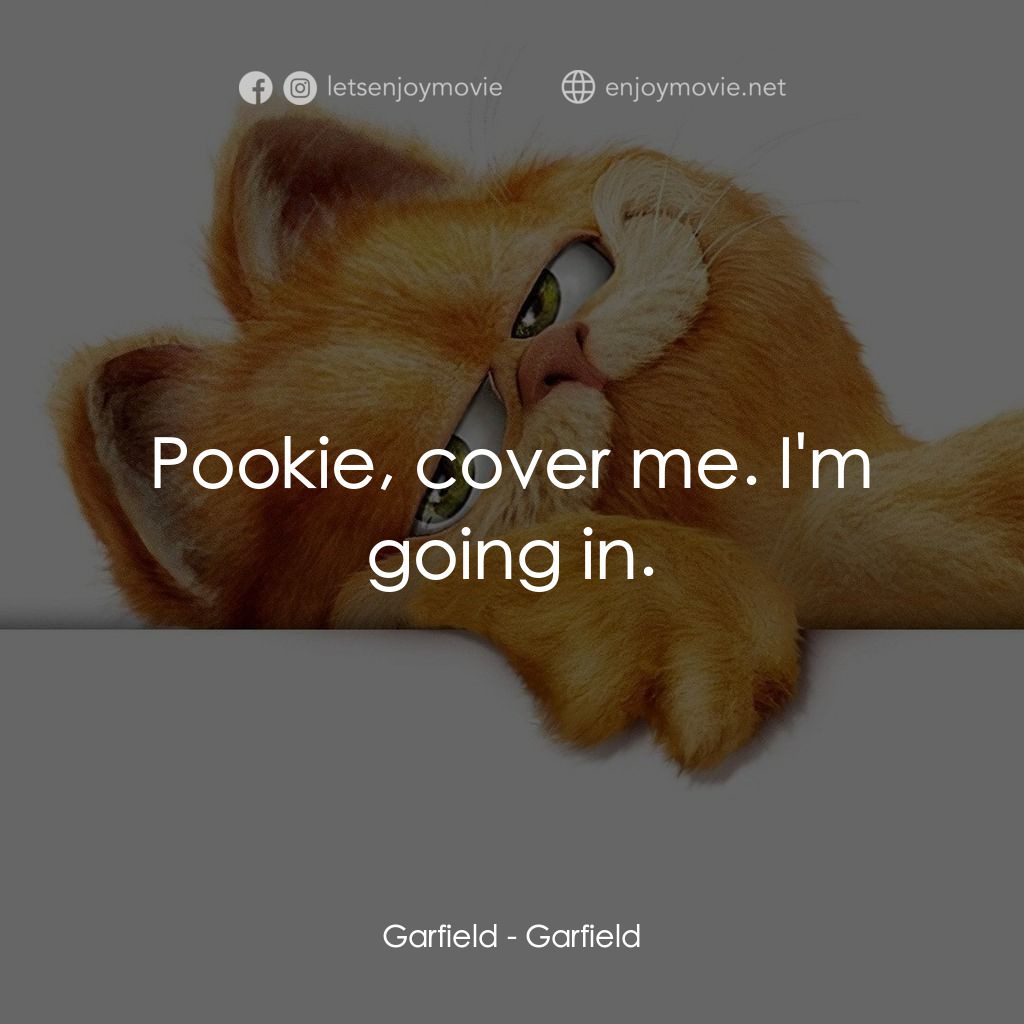 加菲貓電影對白：Garfield: Pookie, cover me. I'm going in.