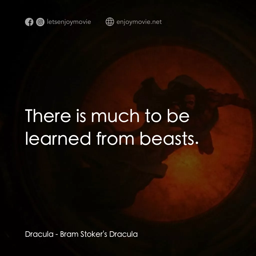 吸血鬼：真愛不死電影對白：Dracula:  There is much to be learned from beasts.