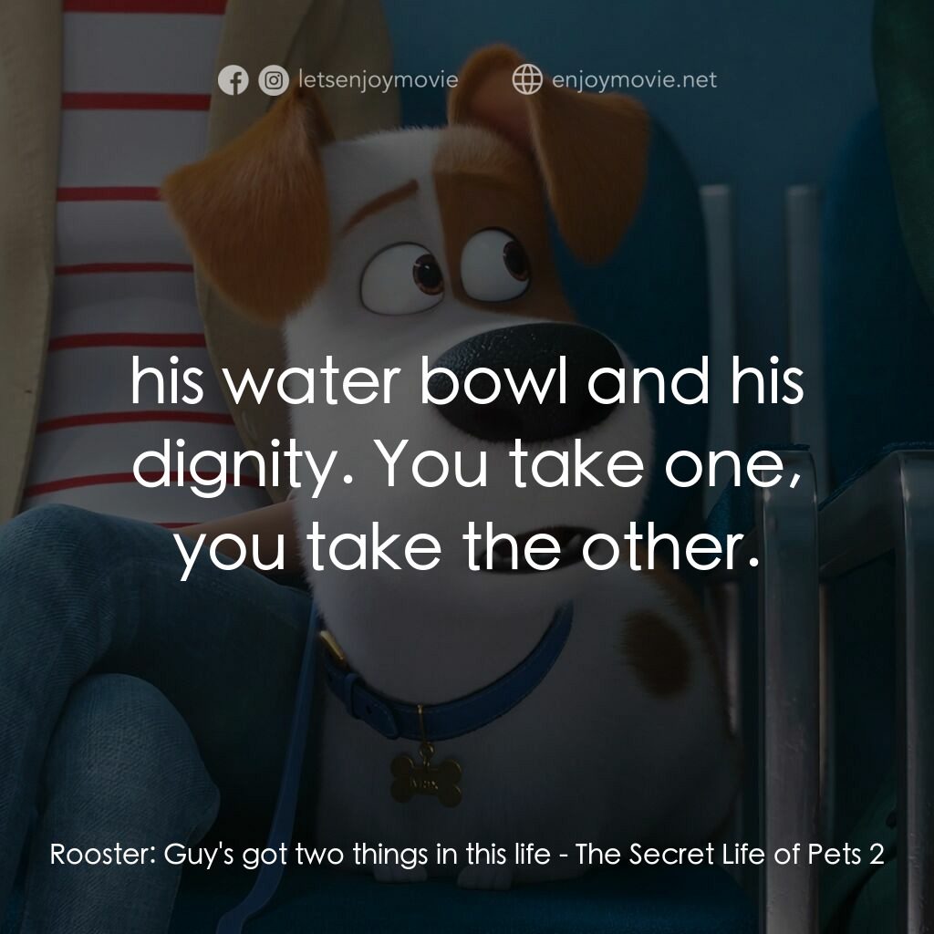 Pet Pet當家 2電影對白：Rooster:  Guy's got two things in this life:  his water bowl and his dignity. You