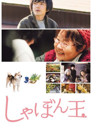 《我的歸屬之地》電影海報